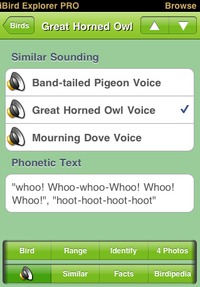 sample sounds page from iBird