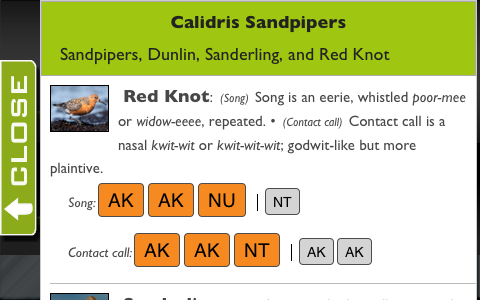 Browsing the sandpipers in Larkwire iPhone app