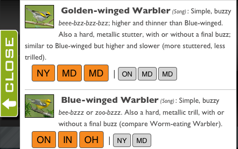 Browsing the warblers in Larkwire iPhone app