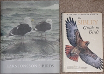 comparison front view of Lars Jonsson's Birds
