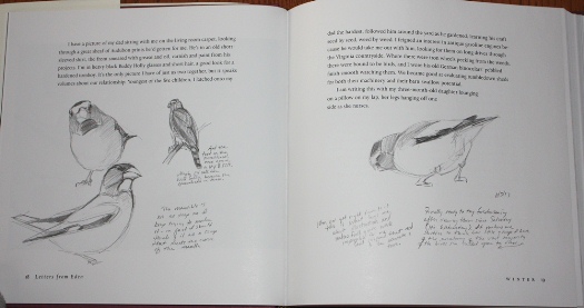 Evening Grosbeak sketches from Letters From Eden: A Year at Home, in the Woods