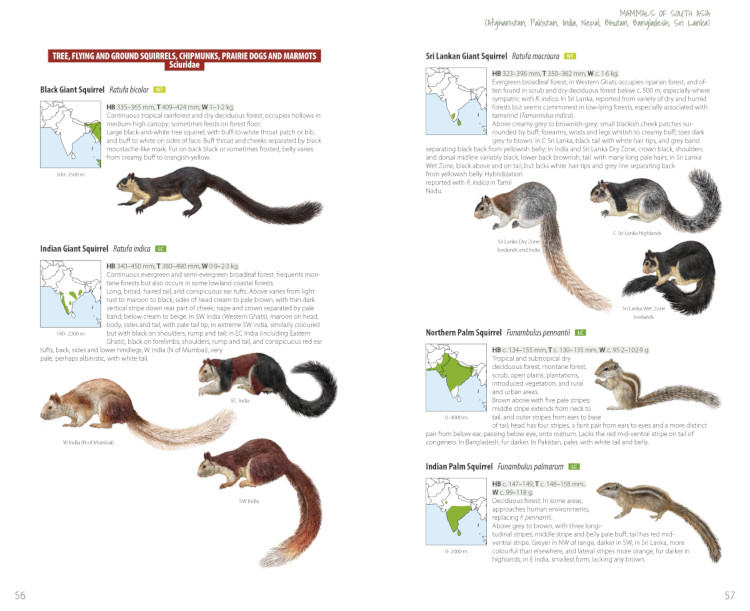 Sample from Mammals of South Asia: India, Pakistan, Afghanistan, Bangladesh, Nepal, Bhutan, Sri Lanka