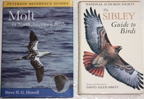 comparison front view of Peterson Reference Guide to Molt in North American Birds