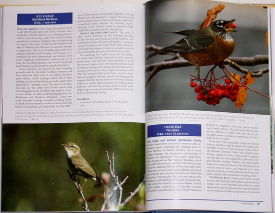 sample from Peterson Reference Guide to Molt in North American Birds