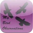 My Bird Observations