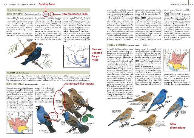 Sample from National Geographic Complete Birds of North America, 2nd Edition