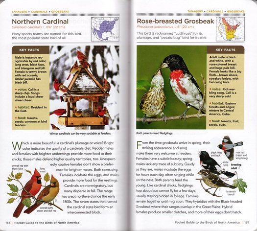 Sample from National Geographic Pocket Guide to the Birds of North America