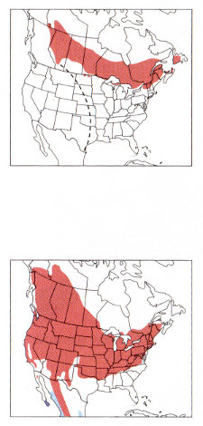 Range maps from National Geographic Field Guide to the Birds of North America, Fifth Edition