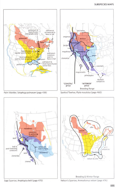 Subspecies range maps from National Geographic Field Guide to the Birds of North America, Sixth Edition