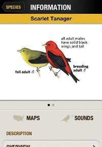 Scarlet Tanager species account from the National Geographic Birds iPhone app