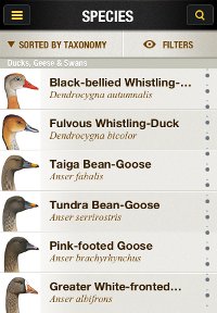 Species list from the National Geographic Birds iPhone app
