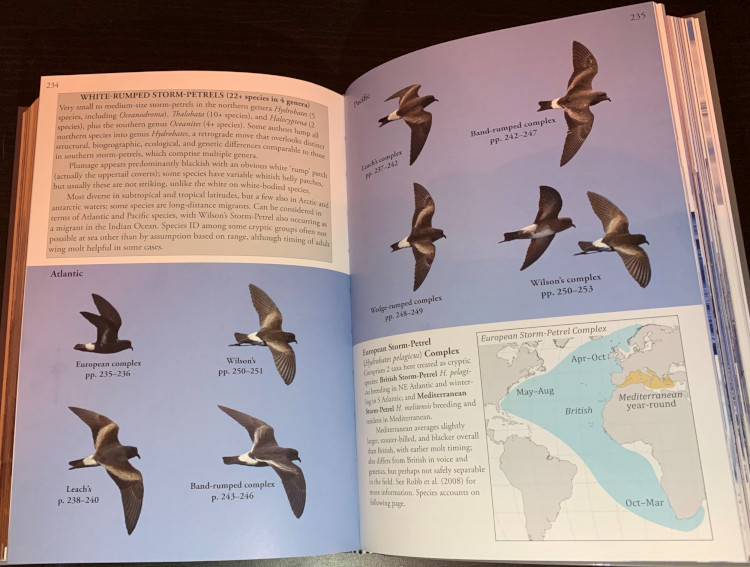 Sample from Oceanic Birds of the World: A Photo Guide