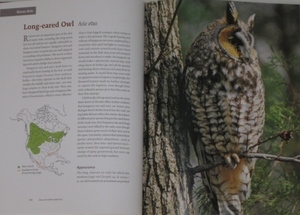 species account from Owls of North America