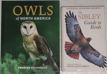 comparison front view of Owls of North America