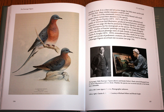Sample from The Passenger Pigeon