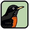 Peterson Birds of North America app