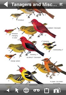 Tanager plate with overlay from Peterson Birds of North America iPhone app
