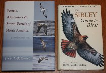 comparison front view of Petrels, Albatrosses, and Storm-Petrels of North America: A Photographic Guide