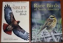 comparison front view of Rare Birds of North America