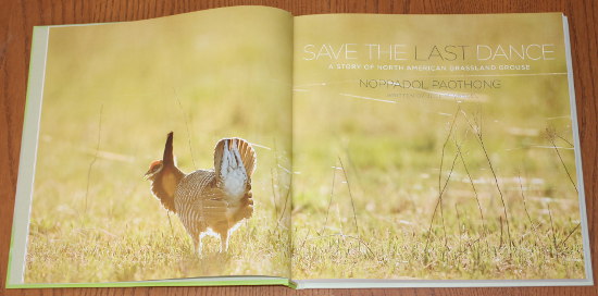 Title page from Save the Last Dance: A Story of North American Grassland Grouse