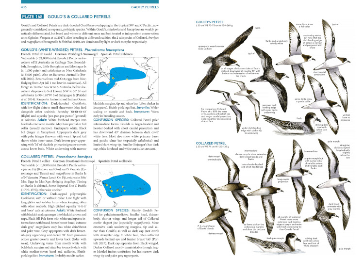 Sample from Seabirds: The New Identification Guide