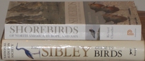 comparison side view of Shorebirds of North America, Europe, and Asia: A Photographic Guide