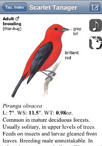 Scarlet Tanager species account from the The Sibley eGuide iPhone app