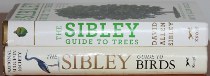 comparison side view of The Sibley Guide to Trees