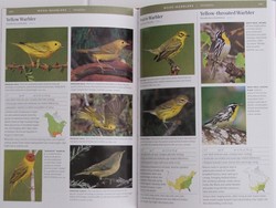 sample pages from the Smithsonian Field Guide to the Birds of North America