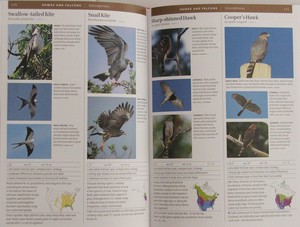 sample pages from the Smithsonian Field Guide to the Birds of North America