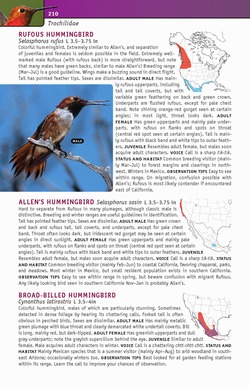 sample species accounts from Birds of Eastern / Western North America: A Photographic Guide