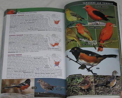 sample from Birds of Eastern / Western North America: A Photographic Guide