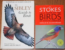 comparison front view of The Stokes Field Guide to the Birds of North America