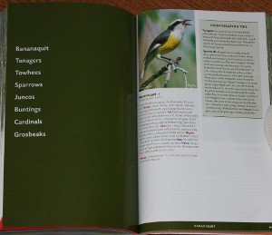 Sample family intro from The Stokes Field Guide to the Birds of North America