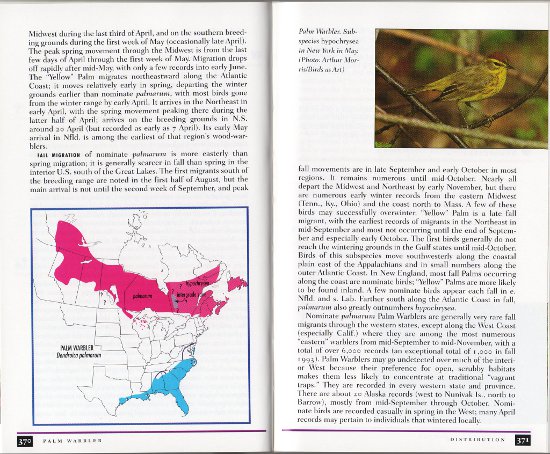 Sample species account from A Field Guide to Warblers of North America