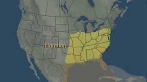 sample map from Watching Warblers DVD