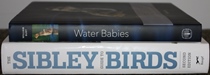 comparison side view of Water Babies: The Hidden Lives of Baby Wetland Birds