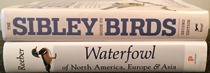 comparison side view of Waterfowl of North America, Europe, and Asia: An Identification Guide