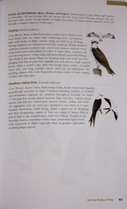 sample from The Wildlife of Costa Rica: A Field Guide