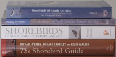 Side comparison of North American shorebird guides