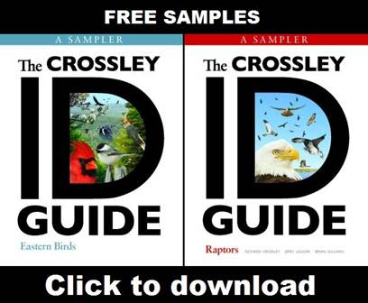 Samples of The Crossley ID Guides