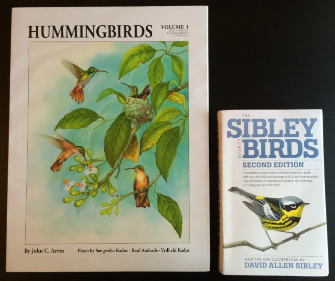 comparison of Hummingbirds Volume 1 and the Sibley Guide