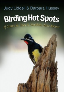 Birding Hot Spots of Santa Fe, Taos, and Northern New Mexico