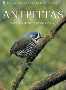 Antpittas