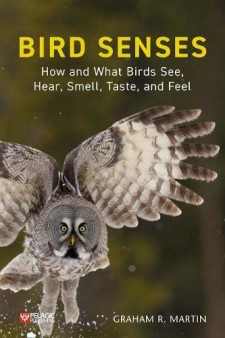 Bird Senses: How and What Birds See, Hear, Smell, Taste, and Feel
