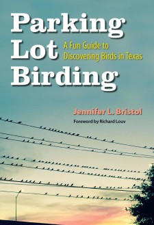 Parking Lot Birding: A Fun Guide to Discovering Birds in Texas