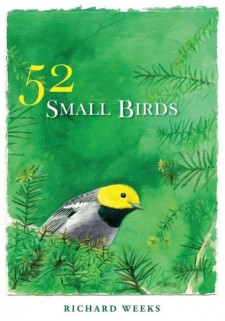 52 Small Birds
