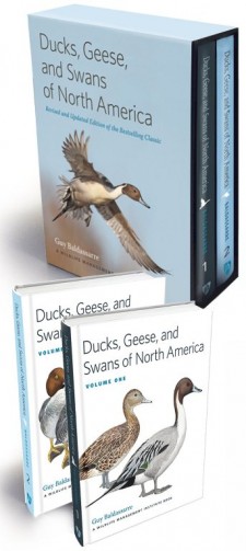 Ducks, Geese, and Swans of North America