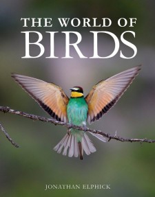 The World of Birds