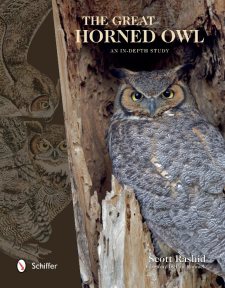 The Great Horned Owl: An In-depth Study, by Scott Rashid